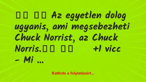 Vicc: 
		  
		  Az egyetlen dolog ugyanis, ami megsebezheti Chuck…