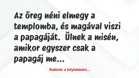 Vicc: Az öreg néni elmegy a templomba, és magával viszi a…