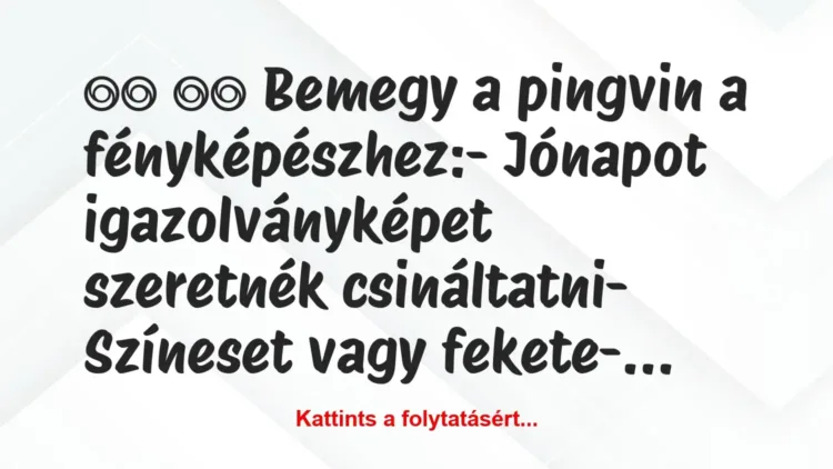 Vicc:
Bemegy a pingvin a fényképészhez:- Jónapot… Vicc:
Bemegy a pingvin a fényképészhez:- Jónapot…