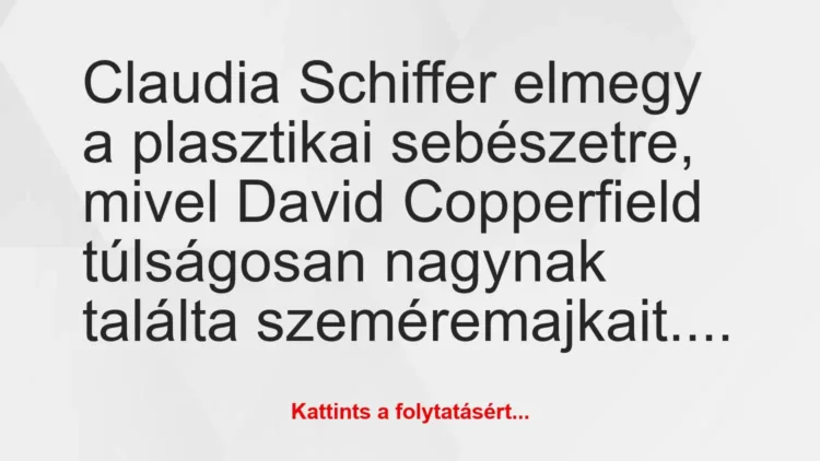 Vicc: Claudia Schiffer elmegy a plasztikai sebészetre, mivel David… Vicc: Claudia Schiffer elmegy a plasztikai sebészetre, mivel David…