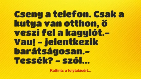 Vicc: Cseng a telefon. Csak a kutya van otthon, ő veszi fel a…