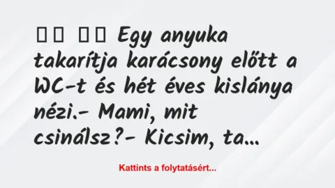 Vicc: 
		  
		  Egy anyuka takarítja karácsony előtt a WC-t és…