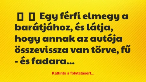 Vicc: 
	    	    Egy férfi elmegy a barátjához, és látja, hogy annak az…