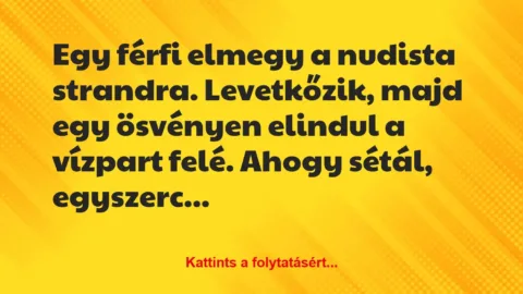 Vicc: Egy férfi elmegy a nudista strandra. Levetkőzik, majd egy ösvényen…