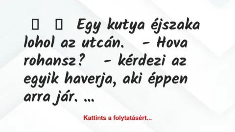 Vicc:
Egy kutya éjszaka lohol az utcán.
– Hova… Vicc:
Egy kutya éjszaka lohol az utcán.
– Hova…
