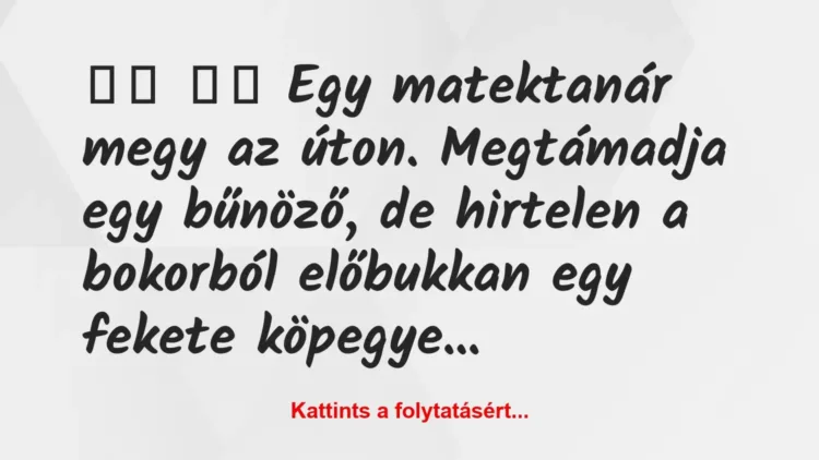 Vicc:
Egy matektanár megy az úton. Megtámadja egy… Vicc:
Egy matektanár megy az úton. Megtámadja egy…