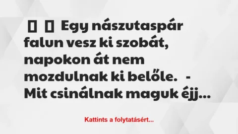 Vicc: 
	    	    Egy nászutaspár falun vesz ki szobát, napokon át nem…