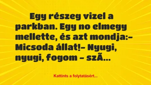 Vicc: 
		  
		  Egy részeg vizel a parkban. Egy no elmegy…