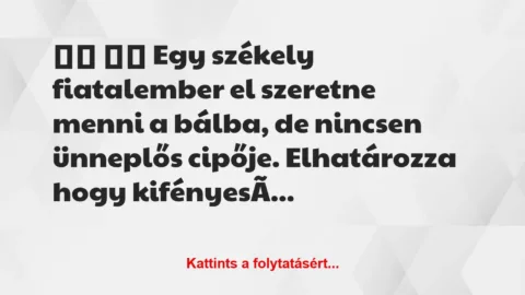 Vicc: 
		  
		  Egy székely fiatalember el szeretne menni a…