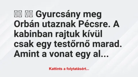 Vicc: 
		  
		  Gyurcsány meg Orbán utaznak Pécsre. A kabinban…