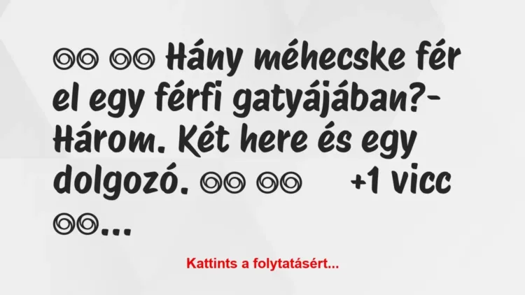 Vicc:
Hány méhecske fér el egy férfi gatyájában?-… Vicc:
Hány méhecske fér el egy férfi gatyájában?-…