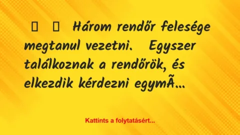 Vicc: 
	    	    Három rendőr felesége megtanul vezetni.


Egyszer…
