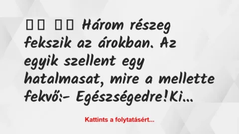 Vicc: 
		  
		  Három részeg fekszik az árokban. Az egyik…