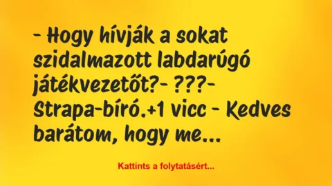 Vicc: – Hogy hívják a sokat szidalmazott labdarúgó játékvezetőt?

-…
