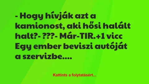 Vicc: – Hogy hívják azt a kamionost, aki hősi halált halt?

– ???

-…