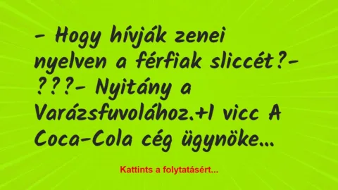 Vicc: – Hogy hívják zenei nyelven a férfiak sliccét?

– ???

-…