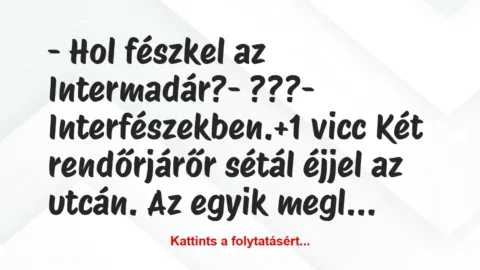 Vicc: – Hol fészkel az Intermadár?

– ???

– Interfészekben.