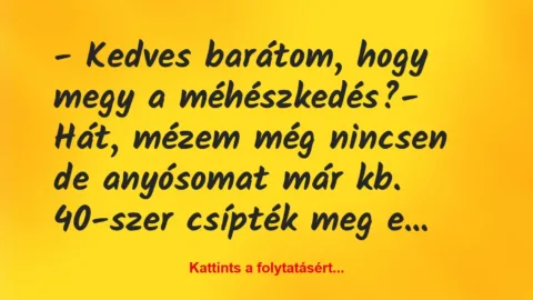 Vicc: – Kedves barátom, hogy megy a méhészkedés?

– Hát, mézem még…