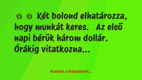 Vicc: 
	    	    Két bolond elhatározza, hogy munkát keres.


Az első…