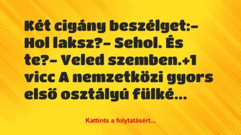 Vicc: Két cigány beszélget:

– Hol laksz?

– Sehol. És te?

-…
