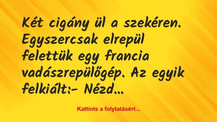 Vicc: Két cigány ül a szekéren. Egyszercsak elrepül felettük egy francia… Vicc: Két cigány ül a szekéren. Egyszercsak elrepül felettük egy francia…