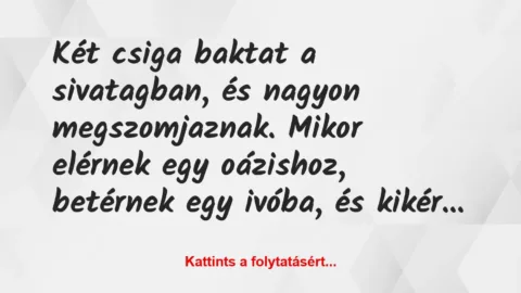 Vicc: Két csiga baktat a sivatagban, és nagyon megszomjaznak. Mikor elérnek…