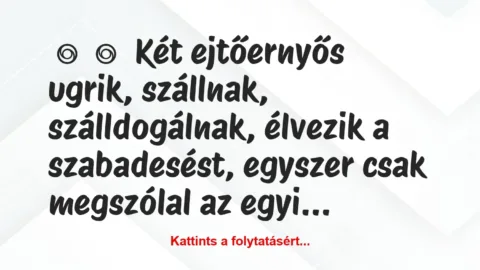 Vicc: 
	    	    Két ejtőernyős ugrik, szállnak, szálldogálnak, élvezik a…