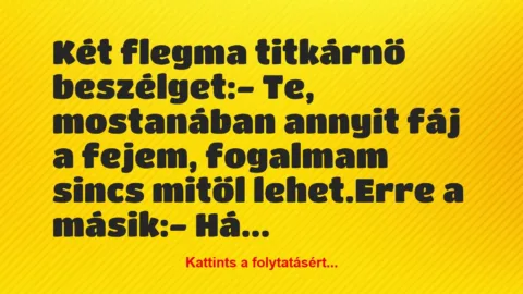 Vicc: Két flegma titkárnő beszélget:

– Te, mostanában annyit fáj a…
