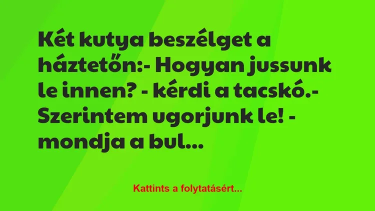 Vicc: Két kutya beszélget a háztetőn:
– Hogyan jussunk le innen? -… Vicc: Két kutya beszélget a háztetőn:
– Hogyan jussunk le innen? -…