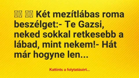 Vicc: 
		  
		  Két mezítlábas roma beszélget:- Te Gazsi,…