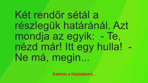Vicc: Két rendőr sétál a részlegük határánál. Azt mondja az egyik:

– Te…