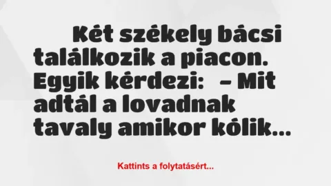 Vicc: 
	    	    Két székely bácsi találkozik a piacon.


Egyik…