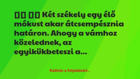 Vicc: 
		  
		  Két székely egy élő mókust akar átcsempésznia…