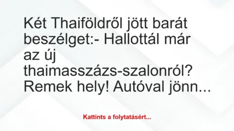 Vicc: Két Thaiföldről jött barát beszélget:

– Hallottál már az új…