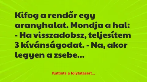 Vicc: Kifog a rendőr egy aranyhalat. Mondja a hal: 

– Ha visszadobsz,…