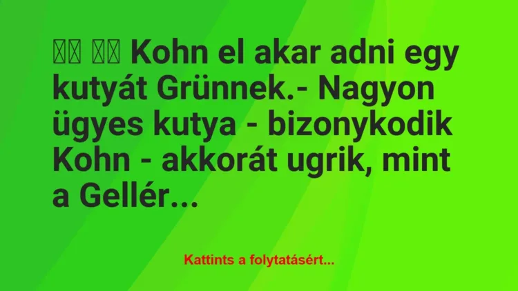 Vicc:
Kohn el akar adni egy kutyát Grünnek.- Nagyon… Vicc:
Kohn el akar adni egy kutyát Grünnek.- Nagyon…