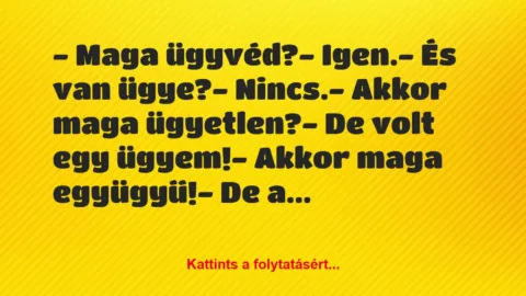Vicc: – Maga ügyvéd?

– Igen.

– És van ügye?

– Nincs.

-…