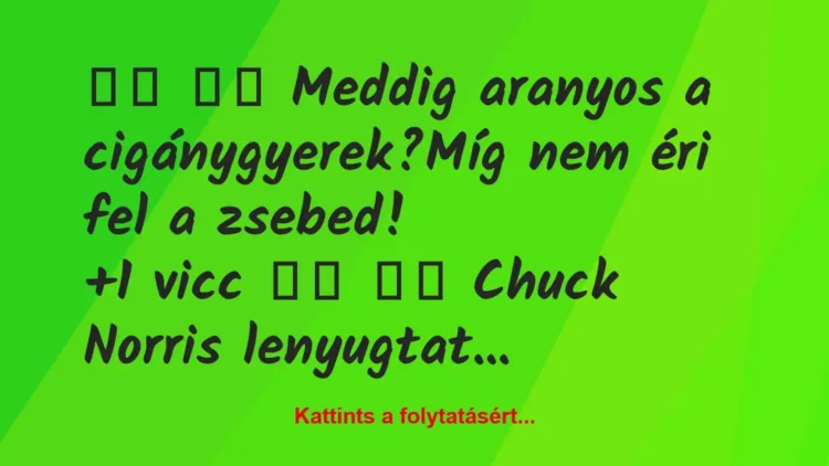 Vicc:
Meddig aranyos a cigánygyerek?Míg nem éri fel… Vicc:
Meddig aranyos a cigánygyerek?Míg nem éri fel…