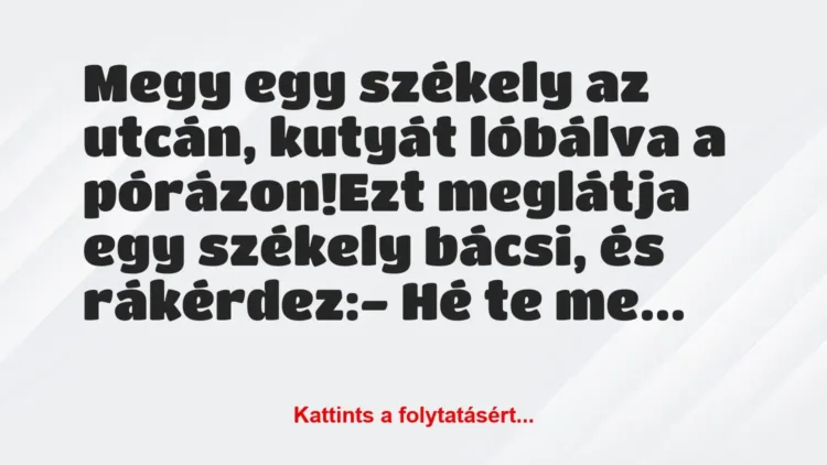 Vicc: Megy egy székely az utcán, kutyát lóbálva a pórázon!
Ezt meglátja… Vicc: Megy egy székely az utcán, kutyát lóbálva a pórázon!
Ezt meglátja…
