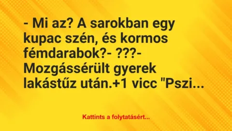 Vicc: – Mi az? A sarokban egy kupac szén, és kormos fémdarabok?

-…