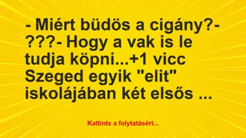 Vicc: – Miért büdös a cigány?

– ???

– Hogy a vak is le tudja…