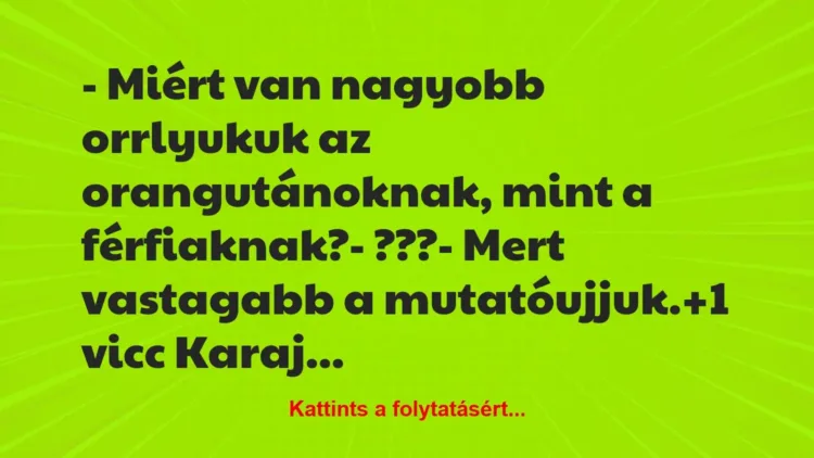 Vicc: – Miért van nagyobb orrlyukuk az orangutánoknak, mint a… Vicc: – Miért van nagyobb orrlyukuk az orangutánoknak, mint a…