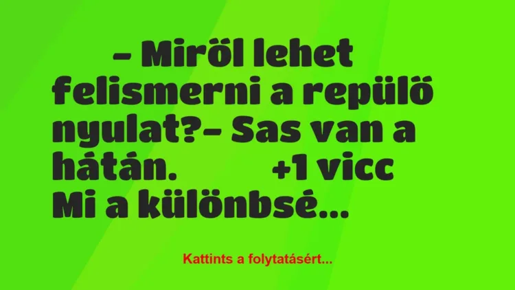 Vicc:
– Miről lehet felismerni a repülő nyulat?-… Vicc:
– Miről lehet felismerni a repülő nyulat?-…