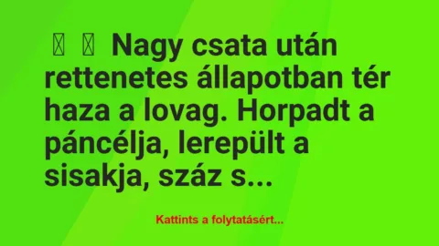 Vicc: 
	    	    Nagy csata után rettenetes állapotban tér haza a lovag….