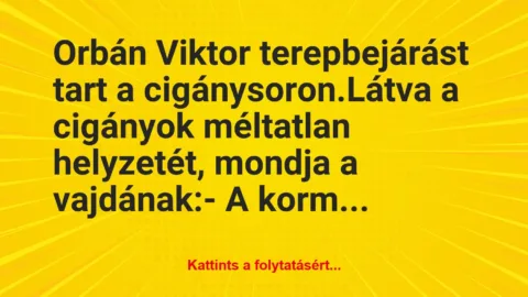 Vicc: Orbán Viktor  terepbejárást tart a cigánysoron.

Látva a cigányok …