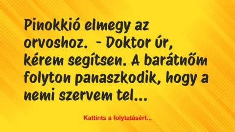 Vicc: Pinokkió elmegy az orvoshoz.

– Doktor úr, kérem segítsen. A…