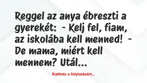 Vicc: Reggel az anya ébreszti a gyerekét:

– Kelj fel, fiam, az iskolába…