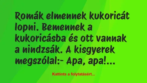 Vicc: Romák elmennek kukoricát lopni. Bemennek a kukoricásba és ott vannak a…
