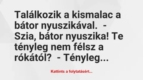 Vicc: Találkozik a kismalac a bátor nyuszikával.

– Szia, bátor…