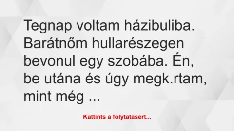 Vicc: Tegnap voltam házibuliba. Barátnőm hullarészegen bevonul egy szobába….